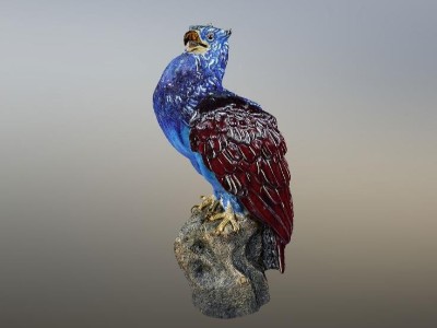 鸚鵡在線VR高清模型
